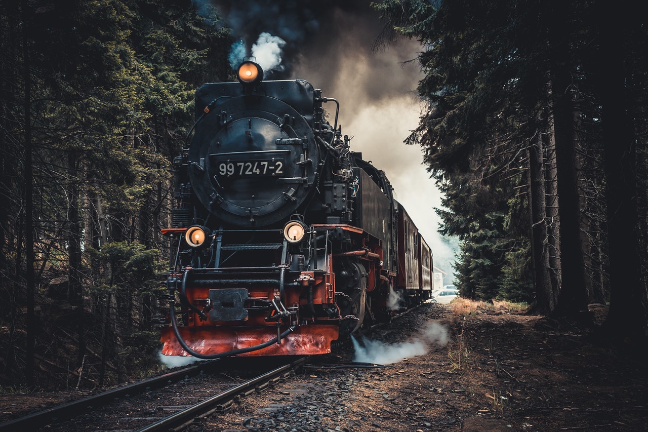 old train locomotive driving through the forest